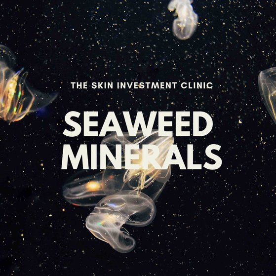 Minerals and Marine Trace Elements Present in Seaweed