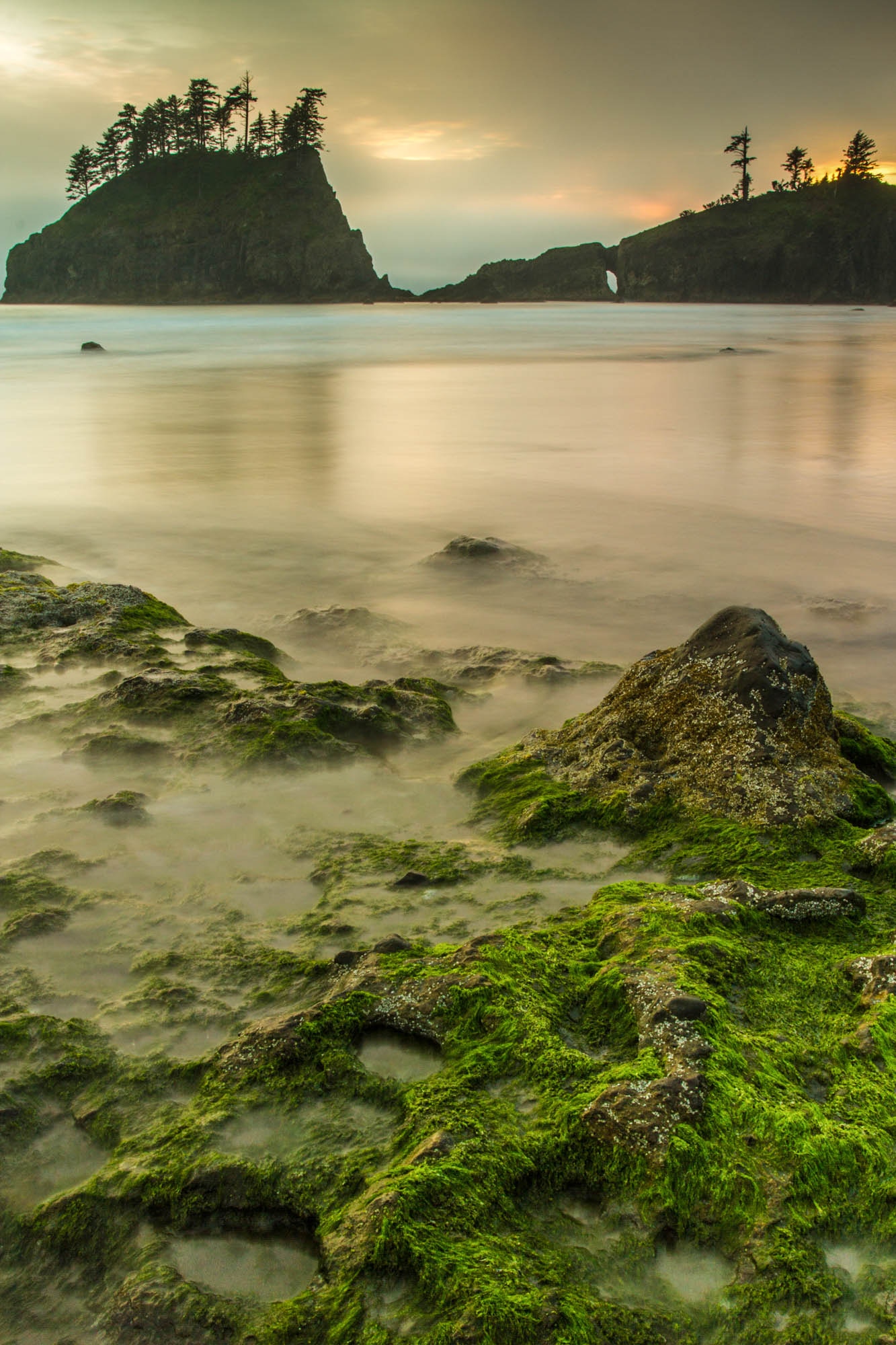 Vitamins Found in Seaweed